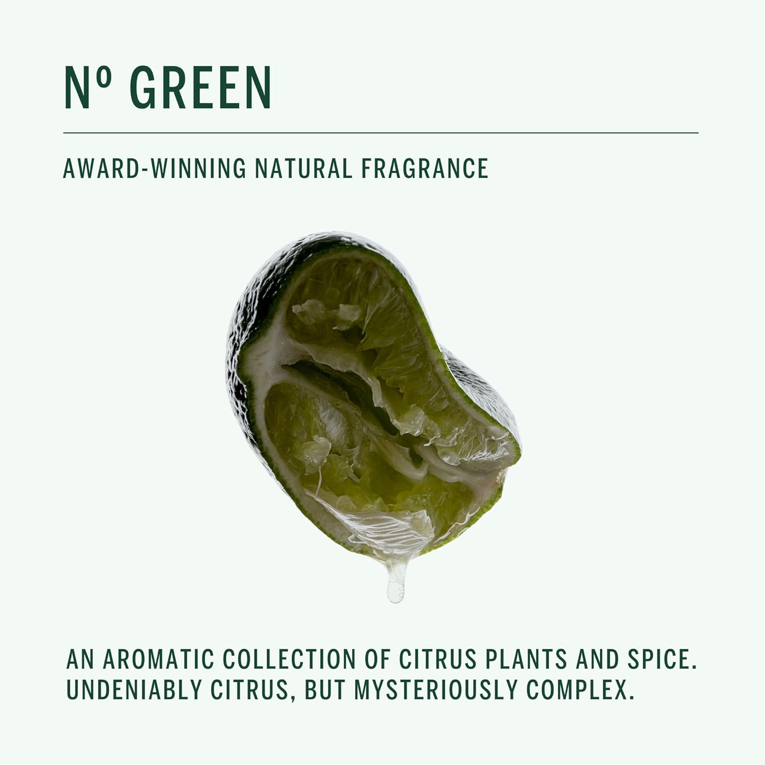 Corpus - Nº Green Body Butter | Ultra-Rich Body Cream, Whipped Texture Melts Into Skin | Luxurious Non-Greasy Hydrating Plant-Based Formula With Tremella Mushroom & Vegan Squalane (60 Ml / 2 Fl Oz) : Beauty & Personal Care