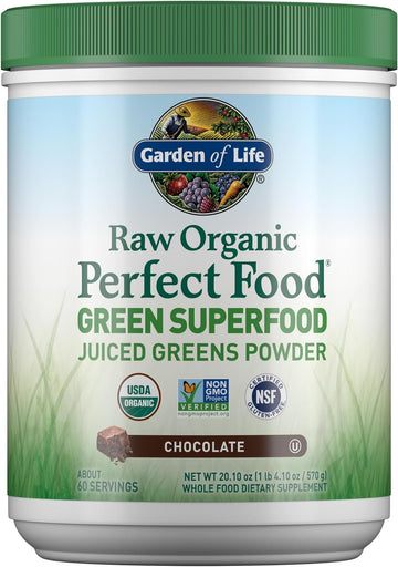 Garden of Life Raw Organic Perfect Food Green Superfood Juiced Greens Powder - Chocolate, 60 Servings, Non-GMO, Gluten Free, Vegan Whole Food Dietary Supplement, Plus Probiotics, Enzymes