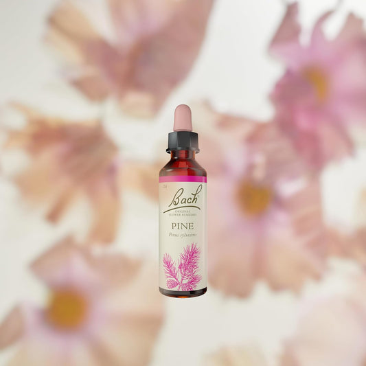 Bach Original Flower Remedies Elm, Find Joy & Hope, Be Efficient, Emotional Wellness, Natural Flower Essence, 10Ml