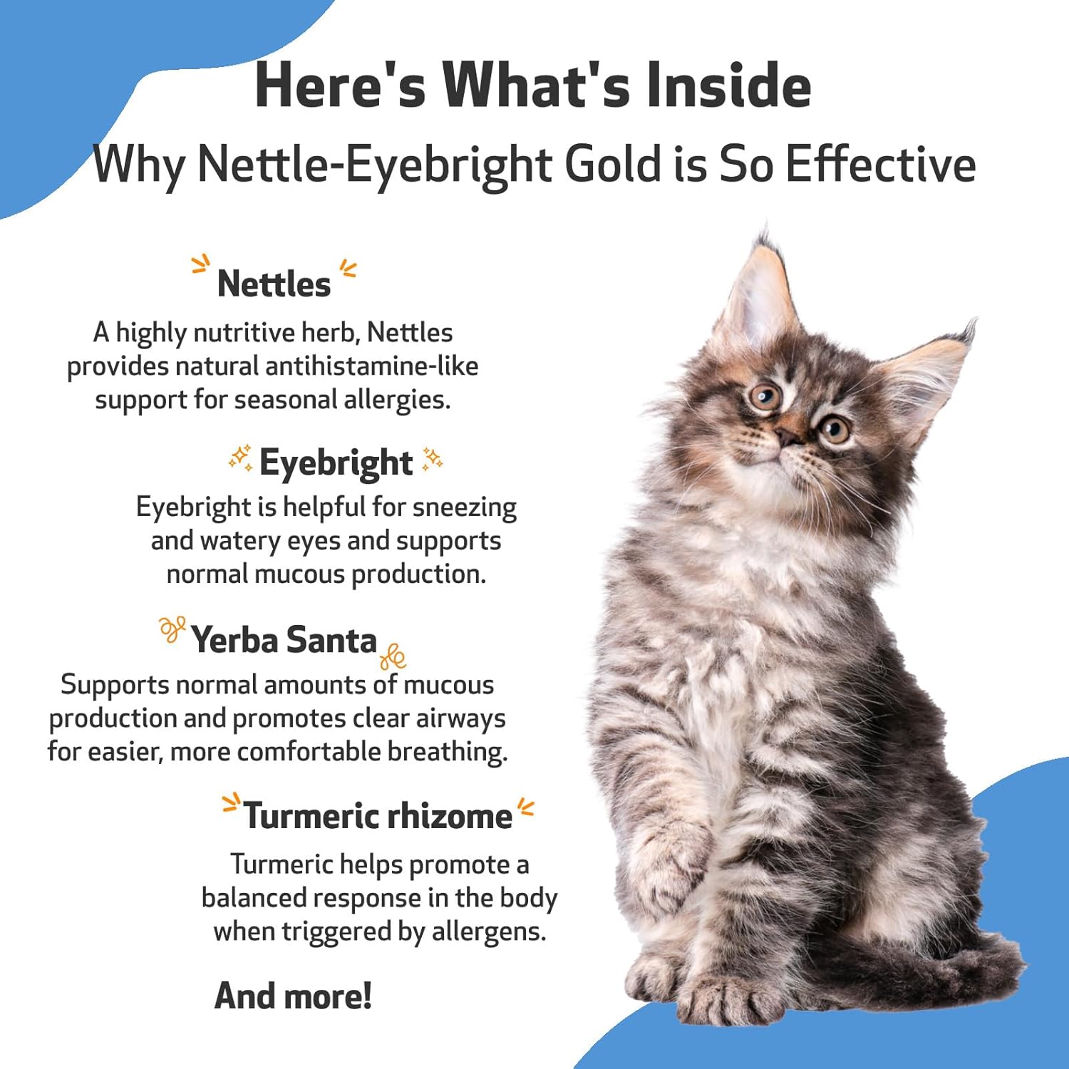 Pet Wellbeing Nettle-Eyebright Gold for Cats - Vet-Formulated - Seasonal Allergies, Hay Fever, Allergic Rhinitis - Natural Herbal Supplement 2 oz (59 ml) : Pet Supplies