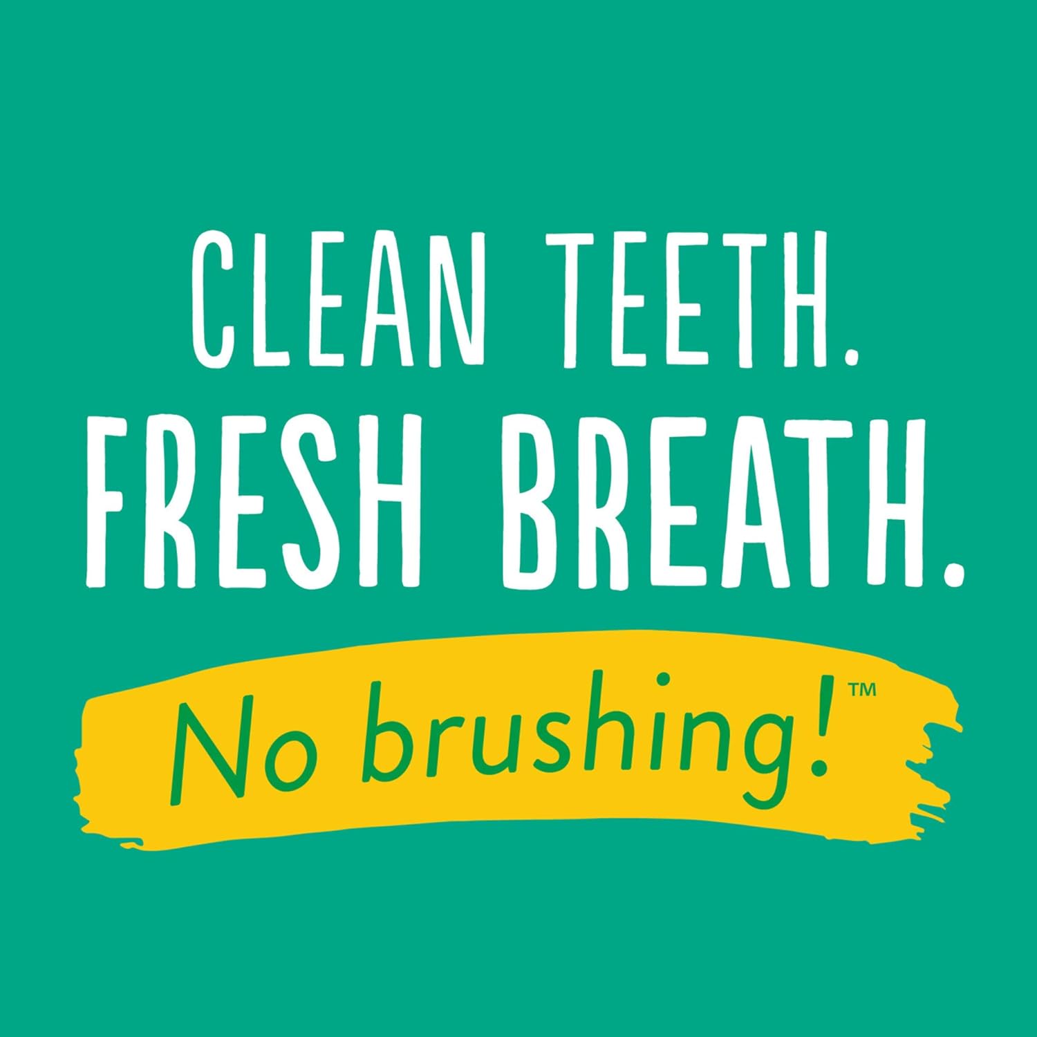 TropiClean Fresh Breath Dog Teeth Cleaning Gel - No Brushing Dental Care - Breath Freshener Oral Care - Complete Dog Teeth Cleaning Solution - Helps Remove Plaque & Tartar, Advanced Whitening, 118ml :Health & Personal Care