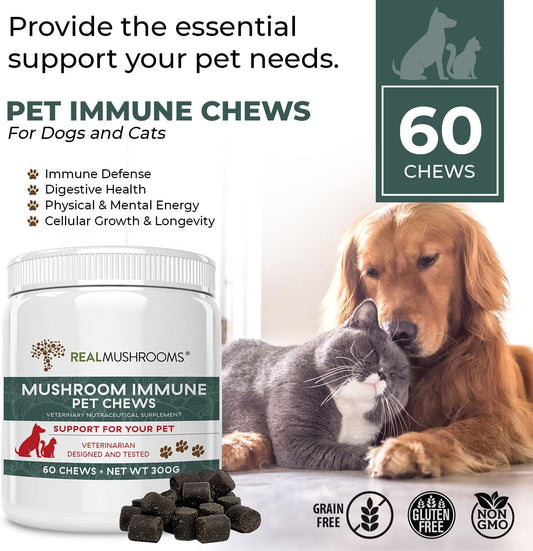 Mushroom Immune Support Pet Chews (60ct) Treats for Dogs – Immune Booster Supplements for Pets with Ashwagandha, Astragalus, Blueberry, Olive Leaf, Acerola &Gut Health for Dogs and Cats