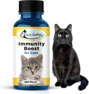 Immunity Boost for Cats Supplement – Helps Your Feline's Respiratory and Digestive System Fight Off Colds and Infections – All Natural, No Fuss Remedy Pills