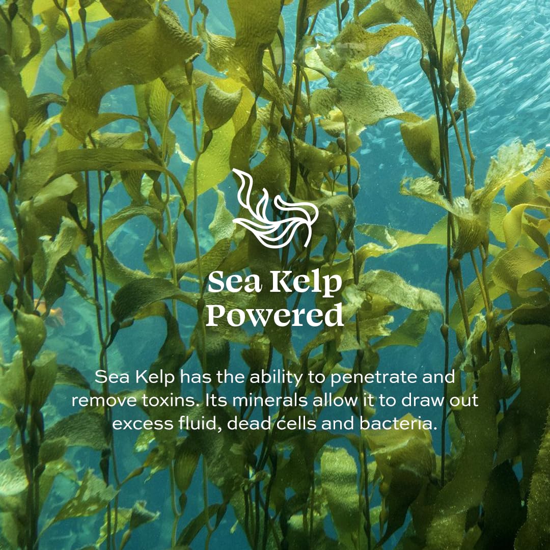 Aleavia – Travel Size Enzymatic Body Cleanse – Fragrance-Free Organic & All-Natural Prebiotic, Vegan Body Wash – 2 Oz. : Beauty & Personal Care