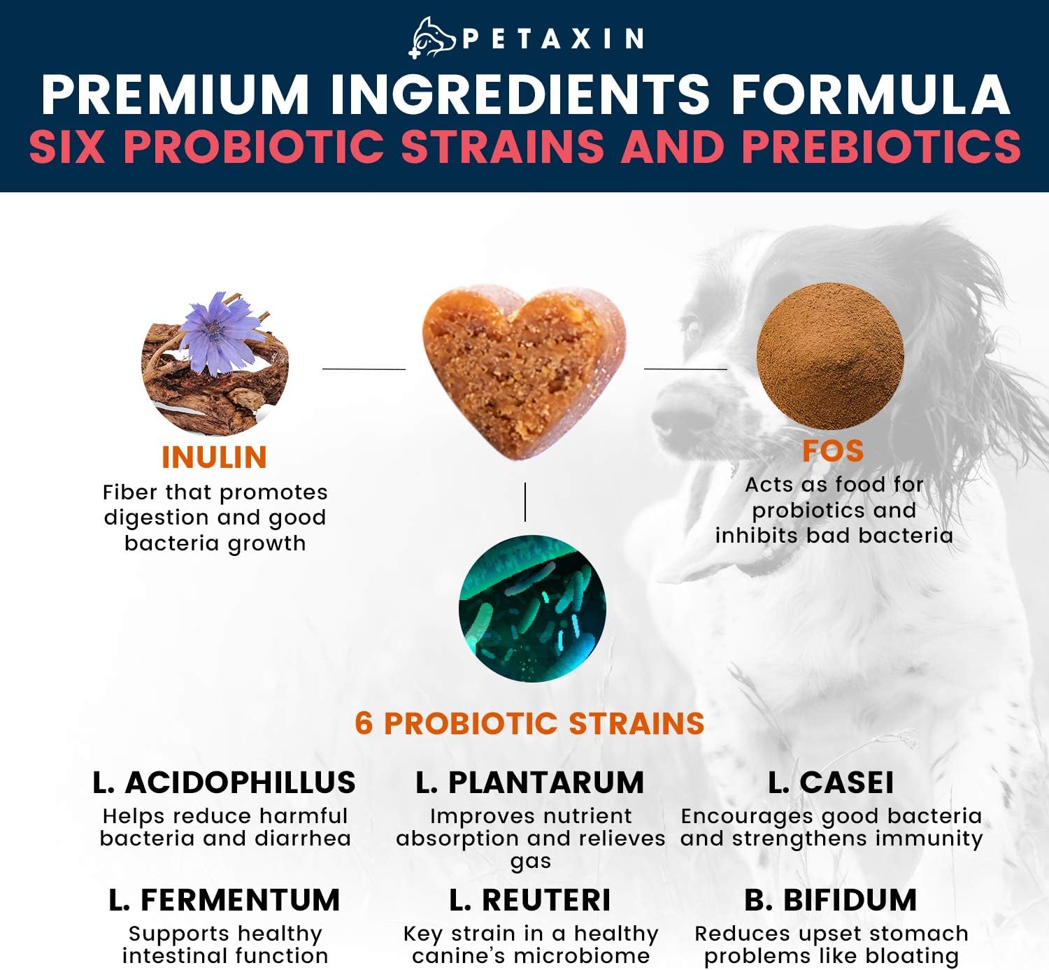 Petaxin Probiotics for Dogs - 6 Strains with Prebiotics - Supports Digestive and Immune System – Relief for Diarrhea, Bad Breath, Allergies, Gas, Constipation, Hot Spots - Made in USA - 360 Chews : Pet Supplies