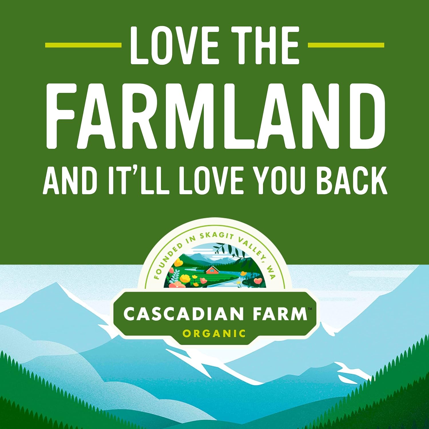 Cascadian Farm Organic Graham Crunch Cereal, 9.6 oz. : Grocery & Gourmet Food