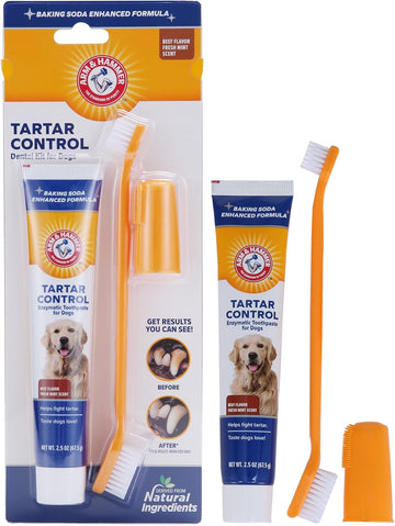 The Company Of Animals Arm & Hammer Paste & Brush Set Clear