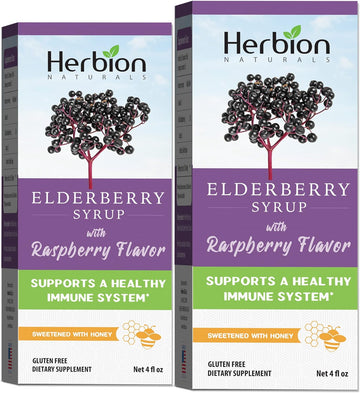 Herbion Naturals elderberry syrup: immune boost for all - 4 fl oz - honey-sweetened, raspberry flavor - no artificial ingredients - USA (Pack of 2)