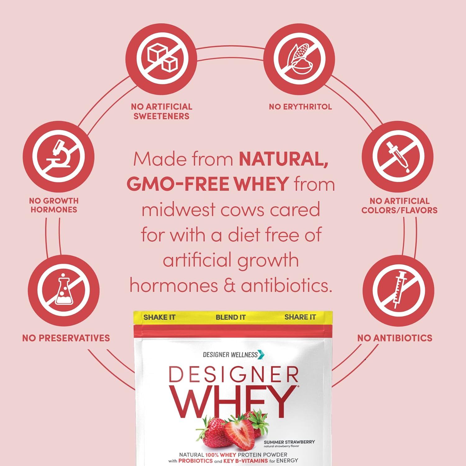 Designer Wellness, Designer Whey, Natural Whey Protein Powder with Probiotics, Fiber, and Key B-Vitamins for Energy, Gluten-Free, Summer Strawberry, 2 lb : Health & Household