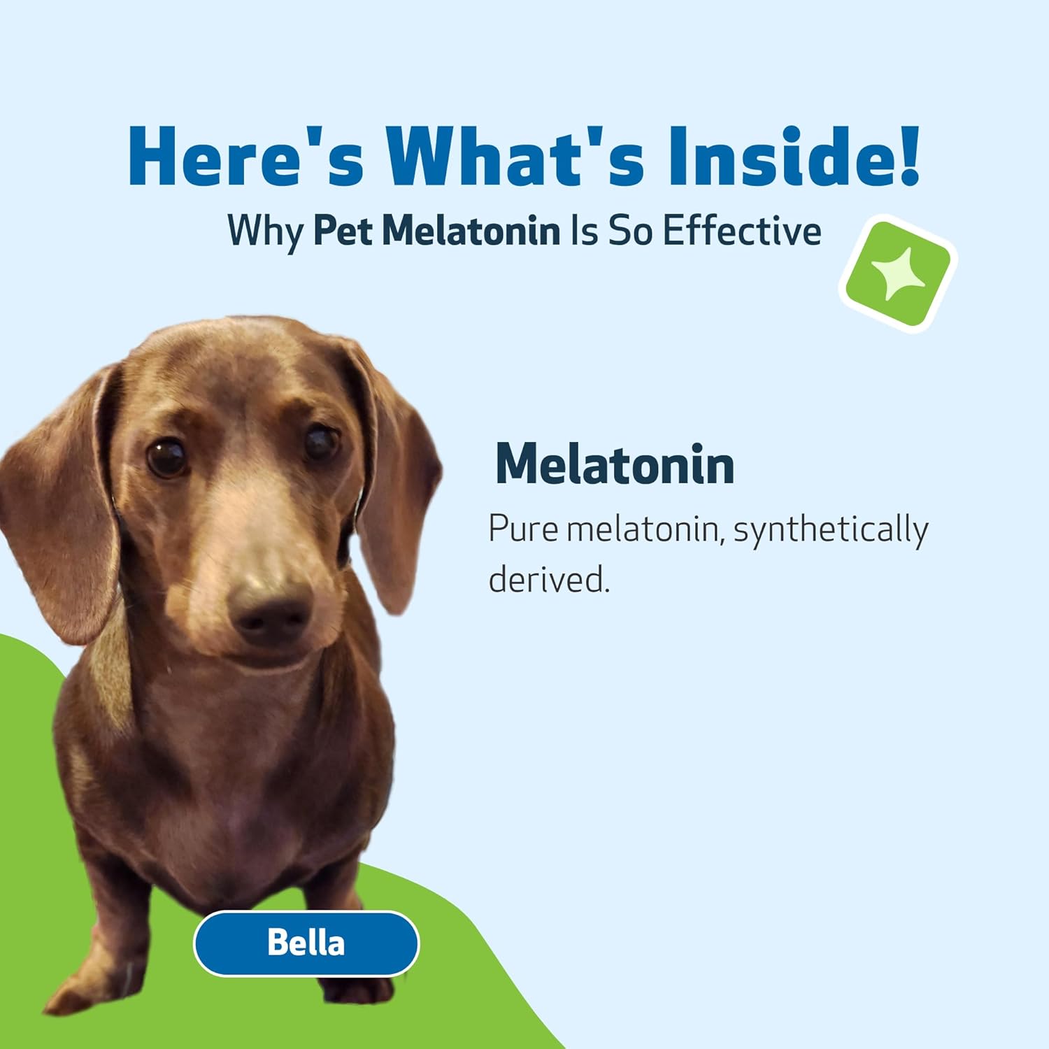Pet Wellbeing Pet Melatonin for Dogs - Cushing's Support, Adrenal Cortisol Balance, Helps Maintain Normal Sleep Patterns - Veterinarian-Formulated - Liquid Supplement 2 fl oz (59 ml) : Pet Supplies