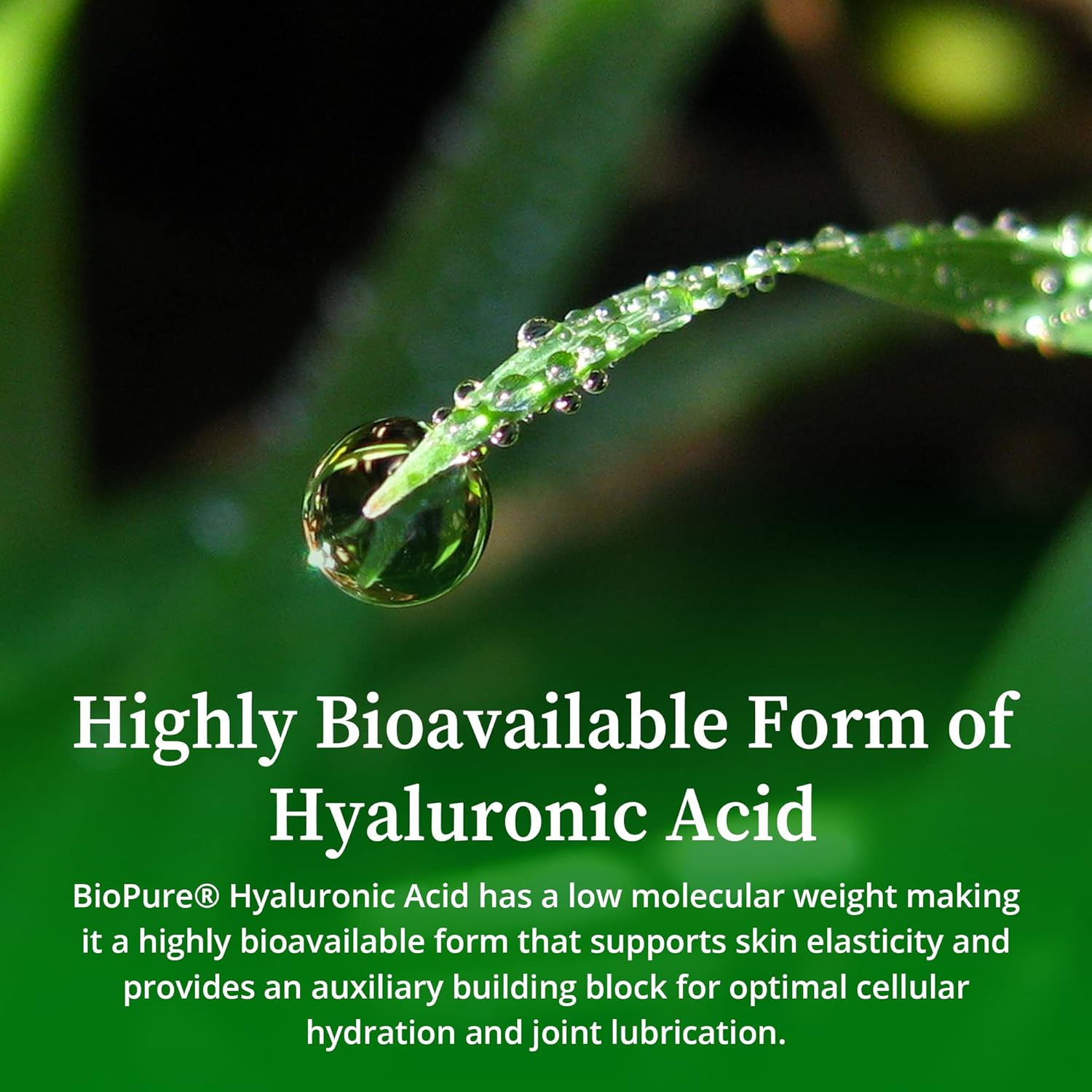 Biopure Hyaluronic Acid Liquid Solution – All Natural, Highly Bioavailable Form Of Hyaluronic Acid For Oral & Topical Use To Benefit Joint Lubrication And Skin Hydration, Elasticity – 4 Fl Oz : Health & Household