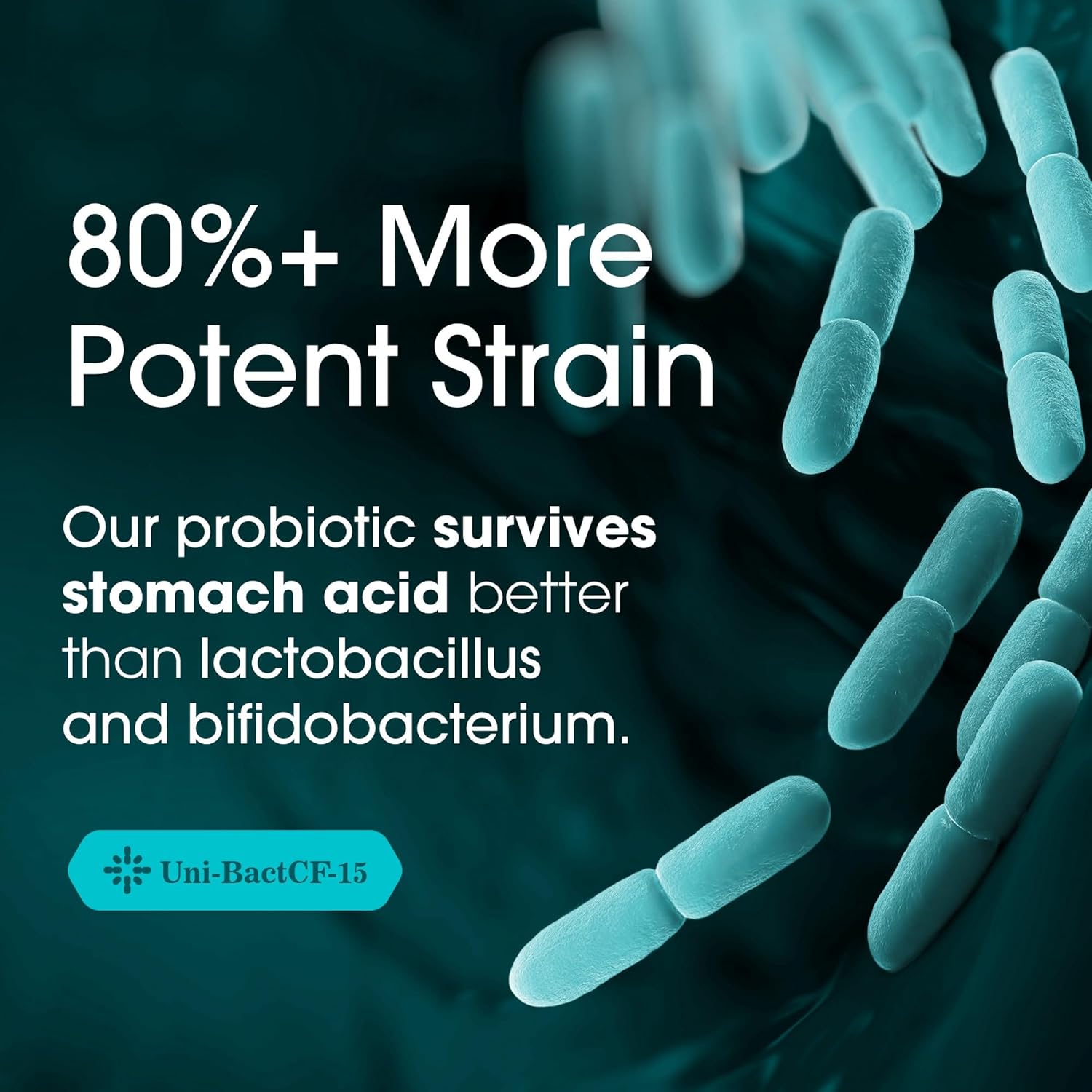 Buy Nutrition Essentials Gmp Certified Probiotic Dietary Supplement 6 Bottles 360 Capsules On  Free Shipping On Qualified Orders