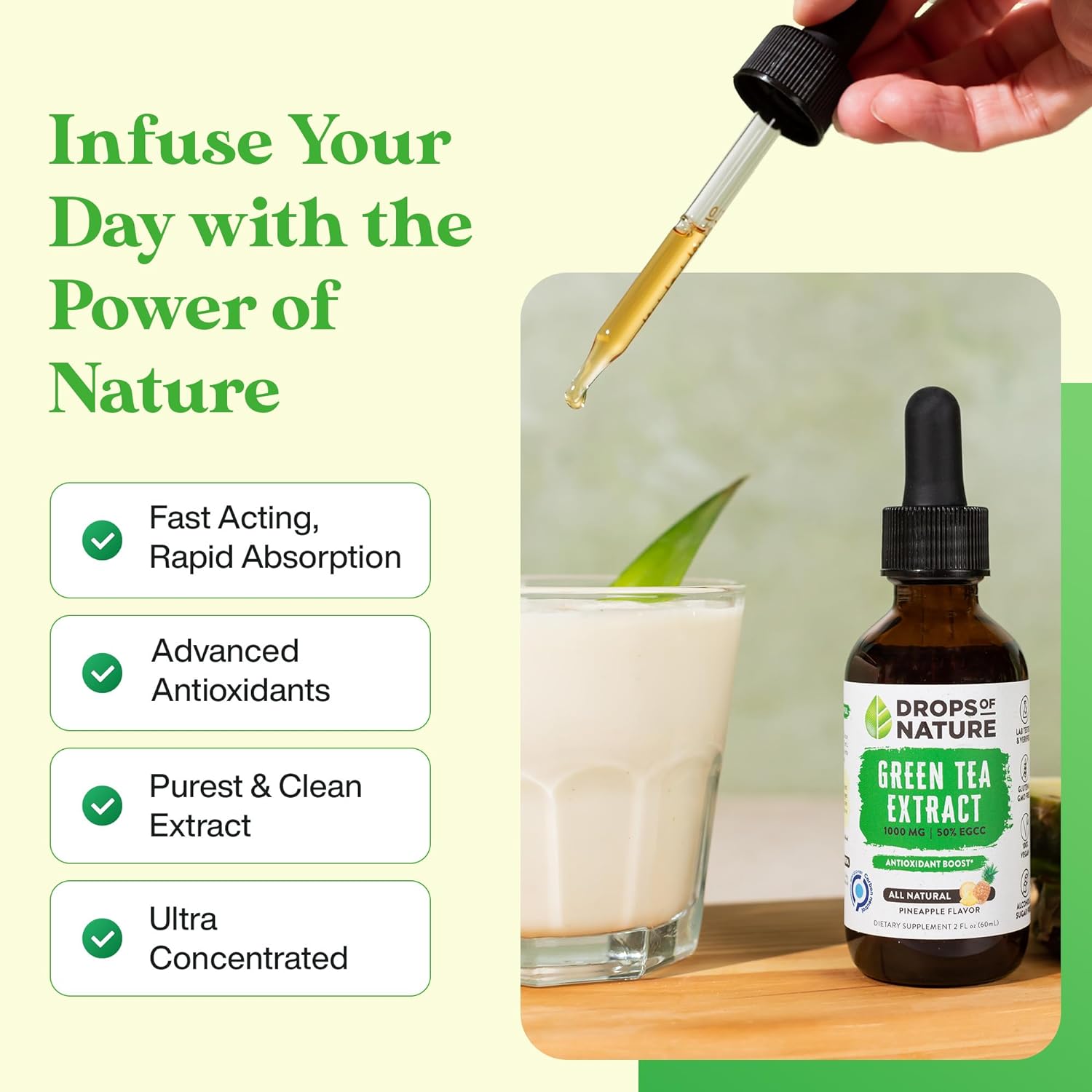 Green Tea Extract - 1000mg - 50% EGCG - Green Tea Liquid Drops, 4x more Powerful than Pills & Capsules - 2oz. Antioxidant & Immune Supplement - Vegan Skin & Heart Support + Brain Health & Memory Boost : Health & Household