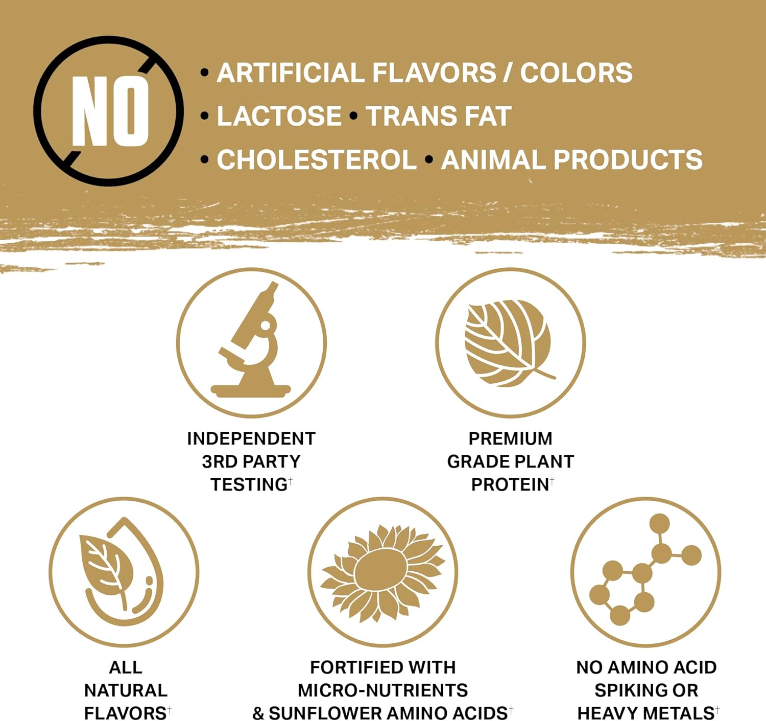 Ambrosia Planta - Premium Organic Plant-Based Protein | Vegan & Keto Friendly | Gourmet Flavors With No Bloating Or Stomach Upset | Gluten & Soy Free | No Added Sugar | 25 Servings | Melted Chocolate : Health & Household