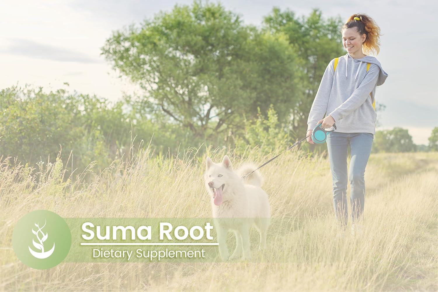 Pure Original Ingredients Suma Root, (100 Capsules) Always Pure, No Additives or Fillers, Lab Verified : Health & Household