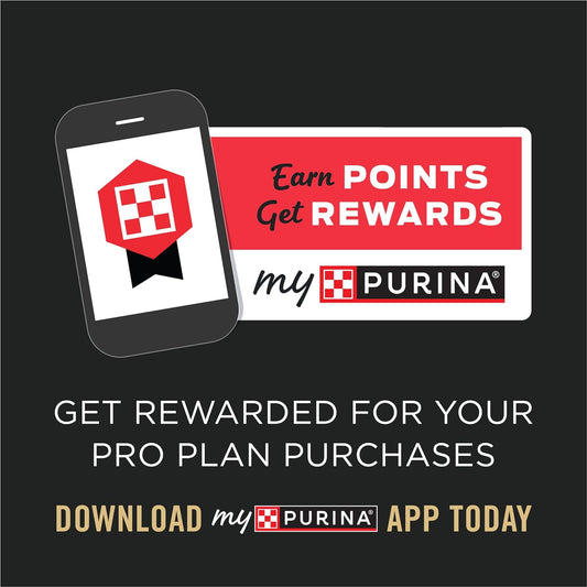 Purina Pro Plan High Energy, High Protein Dog Food, SPORT 30/20 Salmon & Rice Formula - 33 lb. Bag