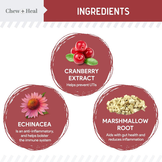 Chew + Heal Uti Treatment Cranberry Chews For Dogs - 240 Soft Chews - Supports Healthy Urinary Tract And Bladder Function - Corrects Imbalances - With Echinacea And Vitamin C