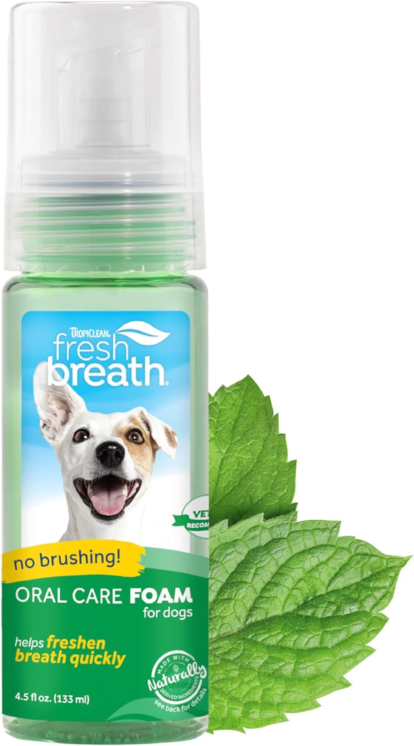 TropiClean Fresh Breath Dog Teeth Cleaning Foam - Dental Care Solution - Breath Freshener Oral Care - Foam for Bad, Smelly Dog Breath - Derived from Natural Ingredients, Mint, 4.5oz?FBMNFM4.5Z