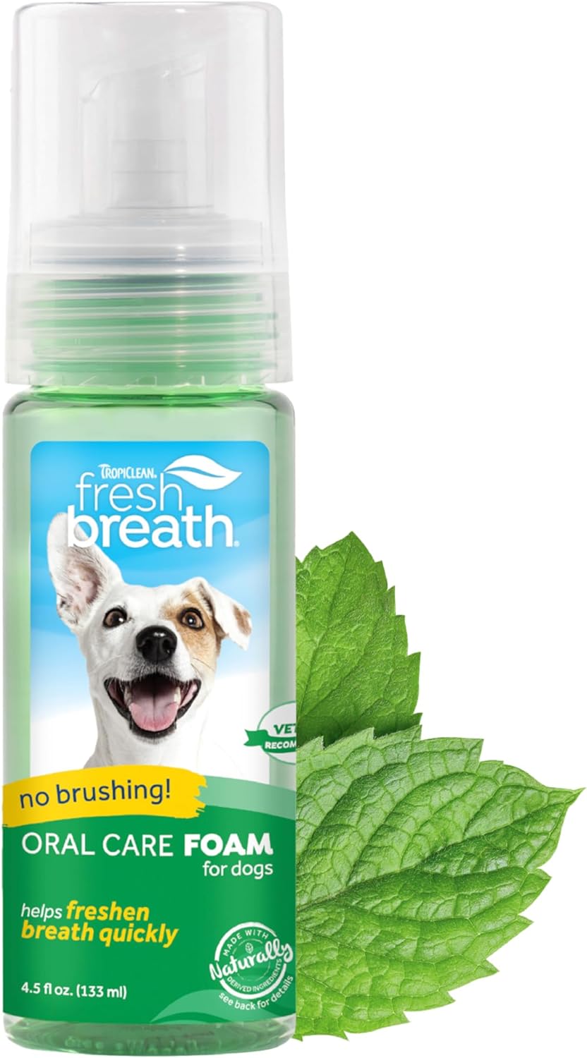 Tropiclean Fresh Breath Dog Teeth Cleaning Foam - Dental Care Solution - Breath Freshener Oral Care - Foam For Bad, Smelly Dog Breath - Derived From Natural Ingredients, Mint, 4.5OzFbmnfm4.5Z