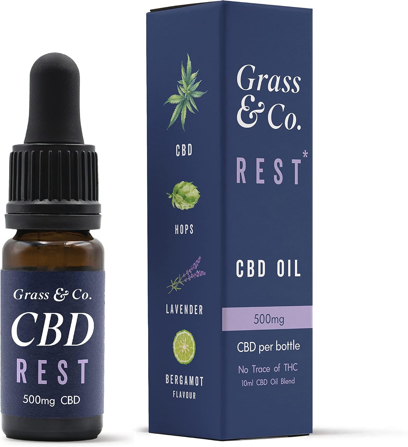 Grass & Co. Rest Fast-Acting Night-Time Cbd Oil Drops 500Mg (5.5%) With A Restful Botanical Blend Of Cbd, Hops, Lavender, Bergamot & Vitamin B5 To Help Reduce Tiredness & Fatigue 10Ml Bottle