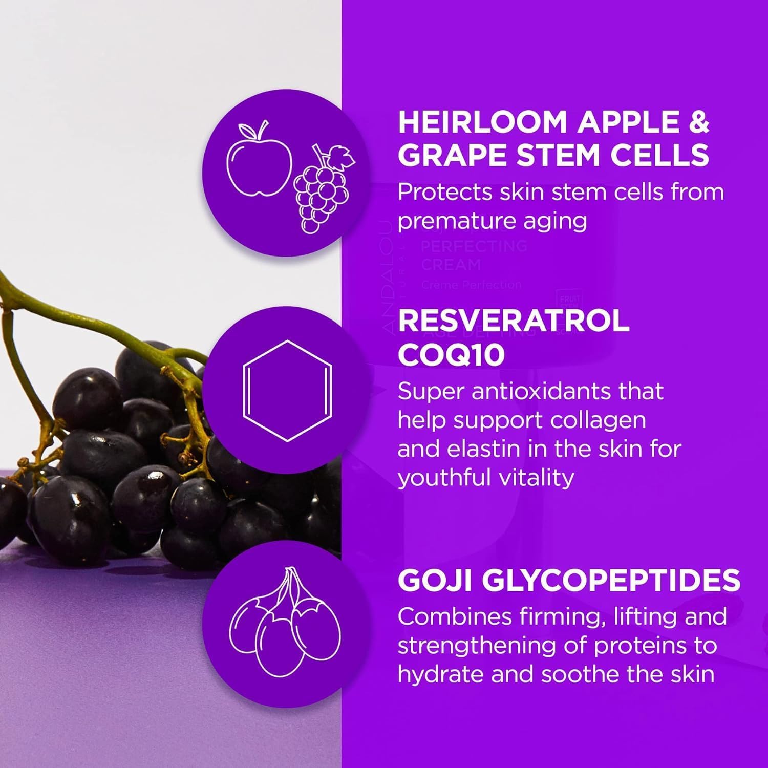 Andalou Naturals Goji Peptide Perfecting Cream, Age Defying Face Cream, Resveratrol Coq10 Face Moisturizer, Supports Skin Collagen And Elastin & Helps Fight Fine Lines & Wrinkles, 1.7 Fl Oz