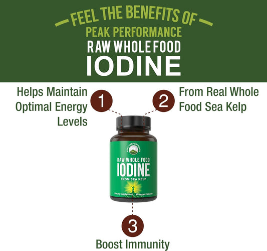 Raw Whole Food Iodine Supplement From Organic Kelp (Ascophyllum Nodosum) By Peak Performance. Potassium Iodide Support Tablets. For Metabolism, Energy, And Immune. 60 Vegan Capsules, Pills