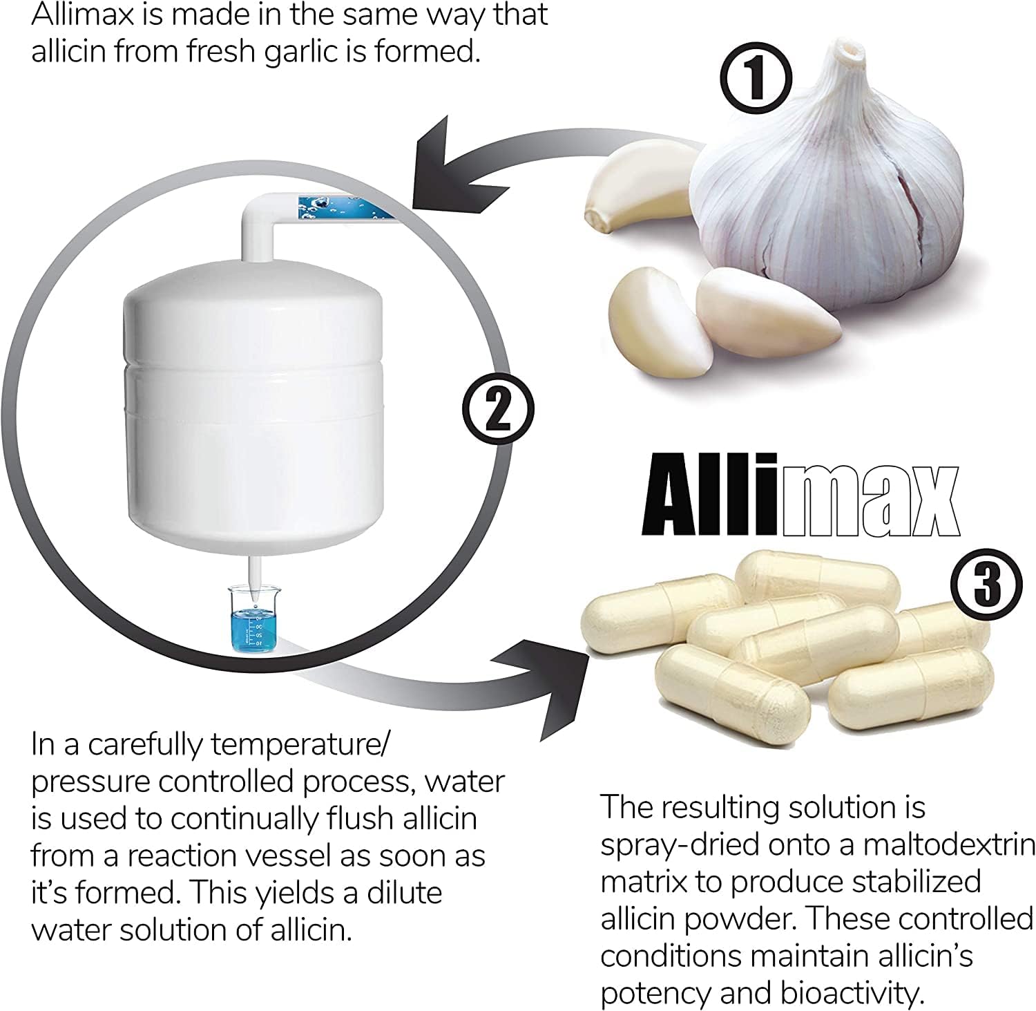Allimax 180Mg 180 Capsules. Supports Your Body’S Immune Function Through Natural Allicin, A Potent Organosulphur Compound Extracted From Clean And Sustainable Spanish Grown Garlic