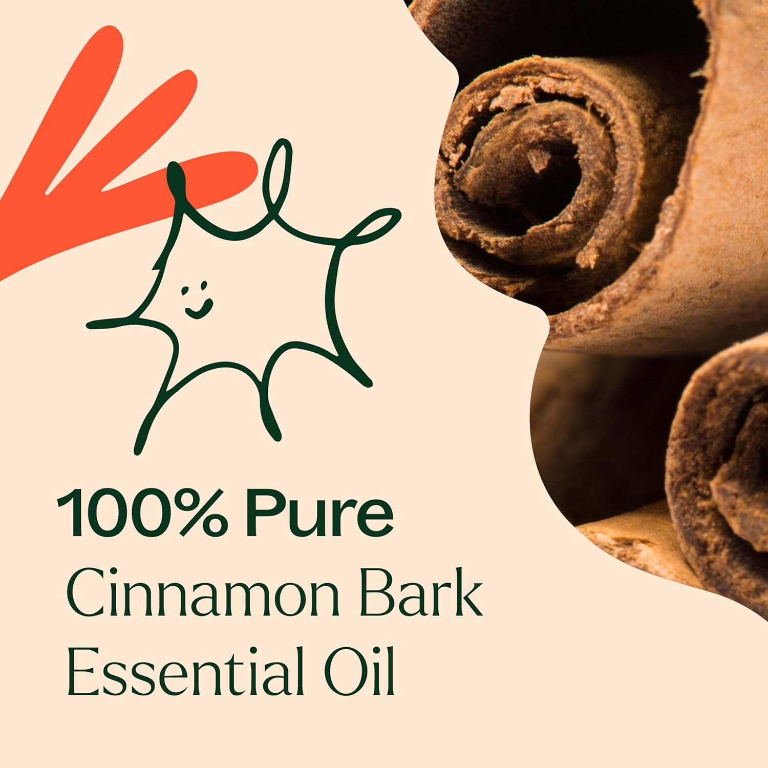 Plant Therapy Cinnamon Bark Essential Oil 10 mL (1/3 oz) 100% Pure, Undiluted, Cinnamon Oil for Diffuser, Spray, Candle Making, Spicy, Sweet Scent, Therapeutic Grade : Health & Household