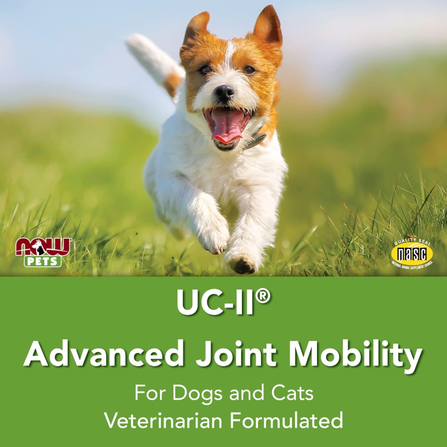 NOW® Pets, UC-II® Advanced Joint Mobility for Dogs and Cats, Veterinarian formulated, Help Maintain Cartilage and Connective Tissue*, 60 Chewable Tablets (60 Grams)