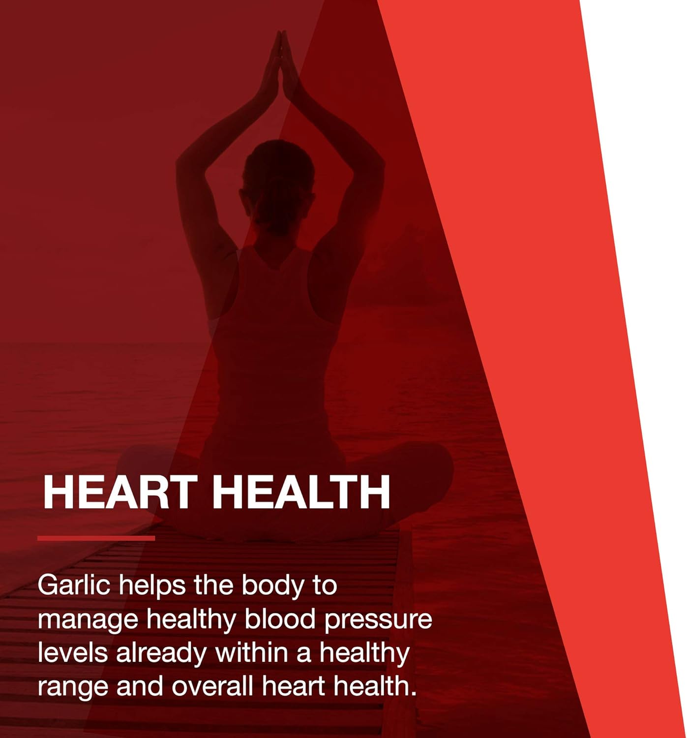 Protocol Garlic 5,000-5,000mcg Allicin Supplement - Odor Controlled, Enteric Coated - Vegan & Kosher - 90 Tablets : Health & Household