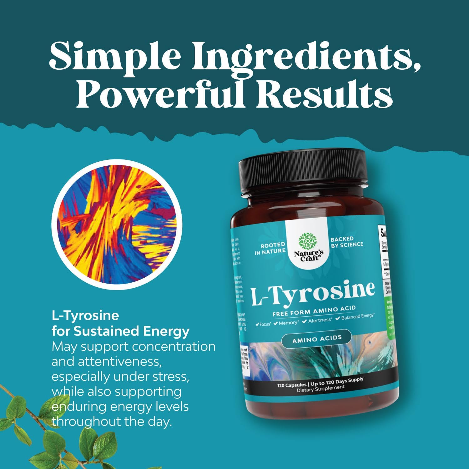 Free Form L Tyrosine 500mg Capsules - High Strength L-Tyrosine Supplement for Mental Energy and Focus Support - Amino Acid Nootropic Supplement for Mood Focus Attention and Cognitive Performance : Health & Household