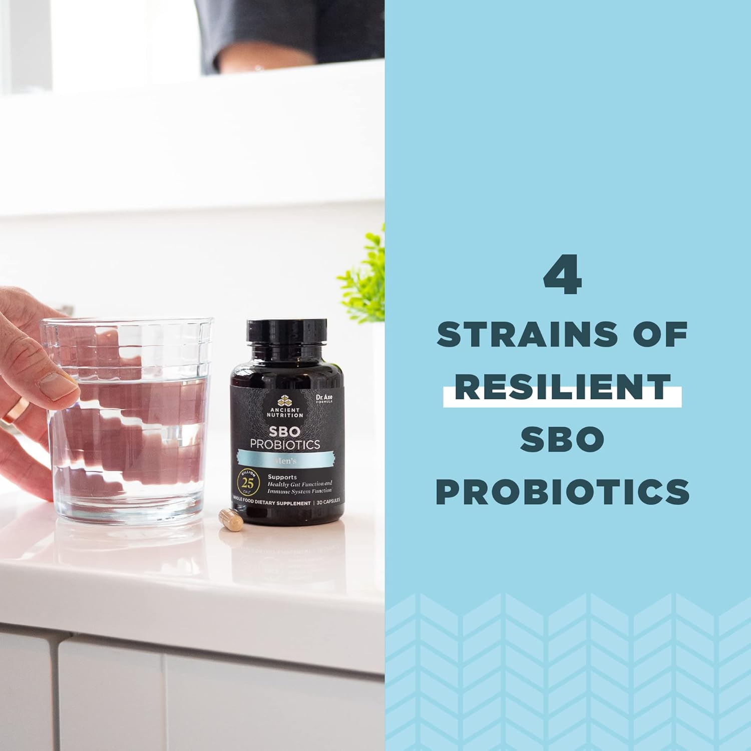 Ancient Nutrition Probiotics For Men, Sbo Probiotics Men'S 60 Ct, For Gut Health, Digestive And Immune Support, Boosts Muscle Mass And Fat Metabolism, 25 Billion Cfus* Per Serving : Health & Household
