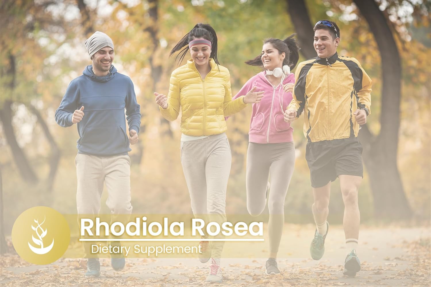 PURE ORIGINAL INGREDIENTS Rhodiola Rosea (100 Capsules) Always Pure, No Additives Or Fillers, Lab Verified : Health & Household