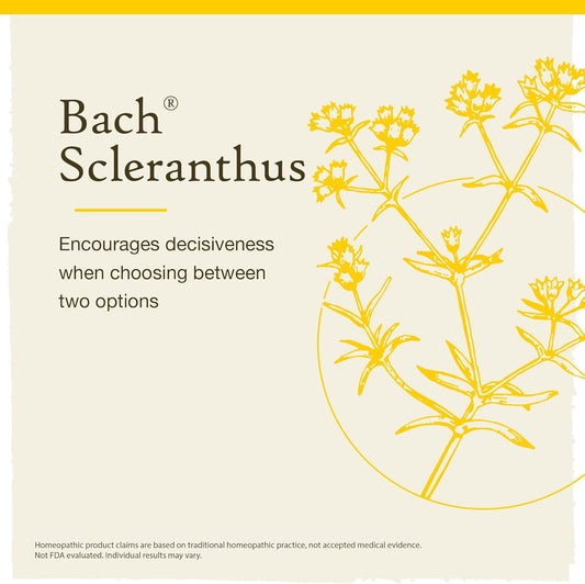 Bach Original Flower Remedies, Scleranthus For Decisiveness (Non-Alcohol Formula), Natural Homeopathic Flower Essence, Holistic Wellness And Stress Relief, Vegan, 10Ml Dropper