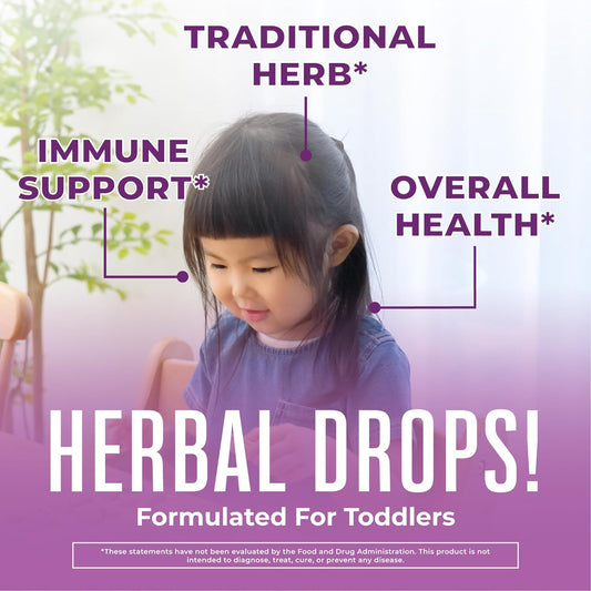 MaryRuth Organics Toddler Elderberry Liquid Drops | USDA Organic | Black Elderberry Supplement for Ages 1-3 Years | Immune Support & Overall Health | Vegan | Non-GMO | Gluten Free | 30 Servings