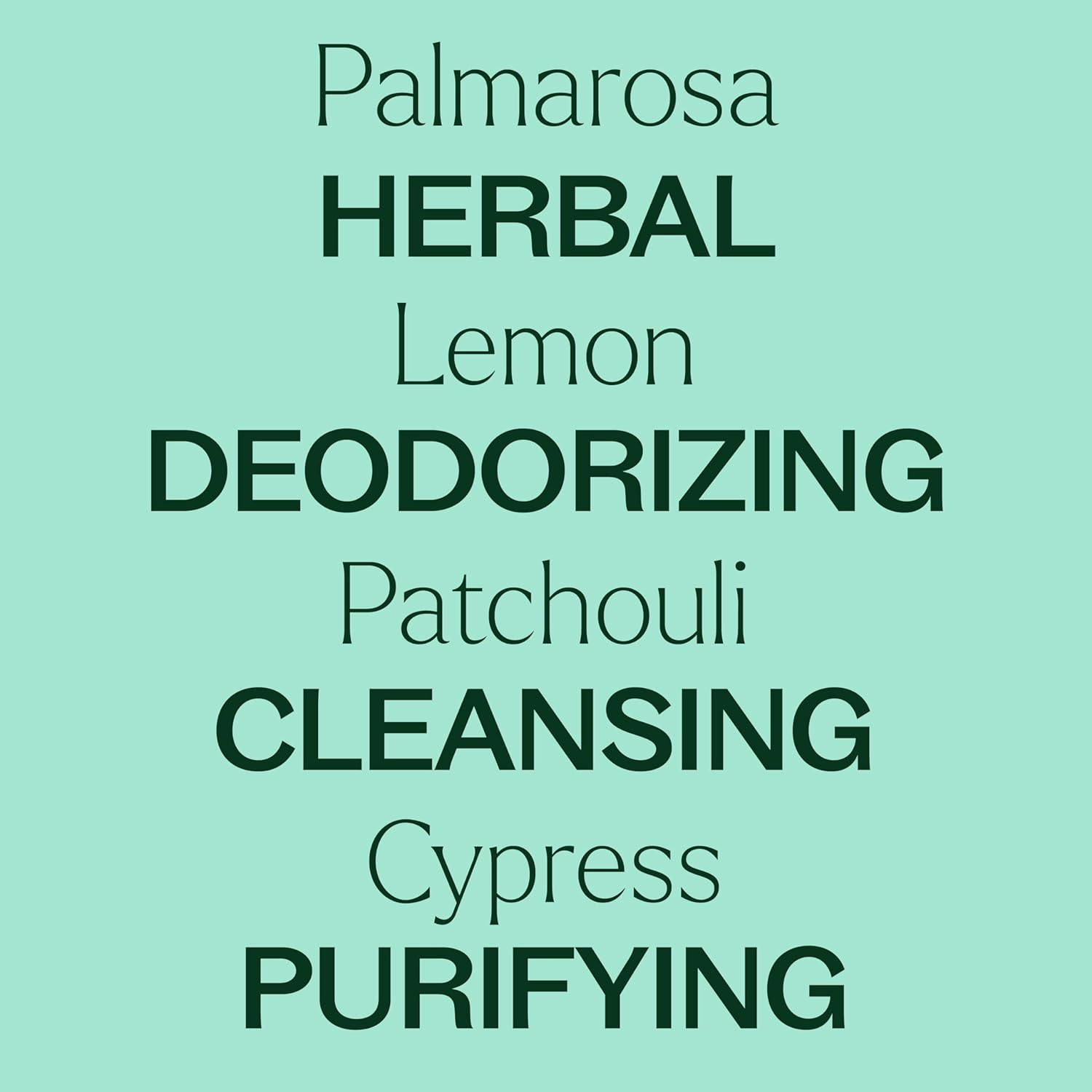 Plant Therapy Deodorizing Essential Oil Blend 100 mL (3.3 oz) 100% Pure, Undiluted, Therapeutic Grade : Health & Household