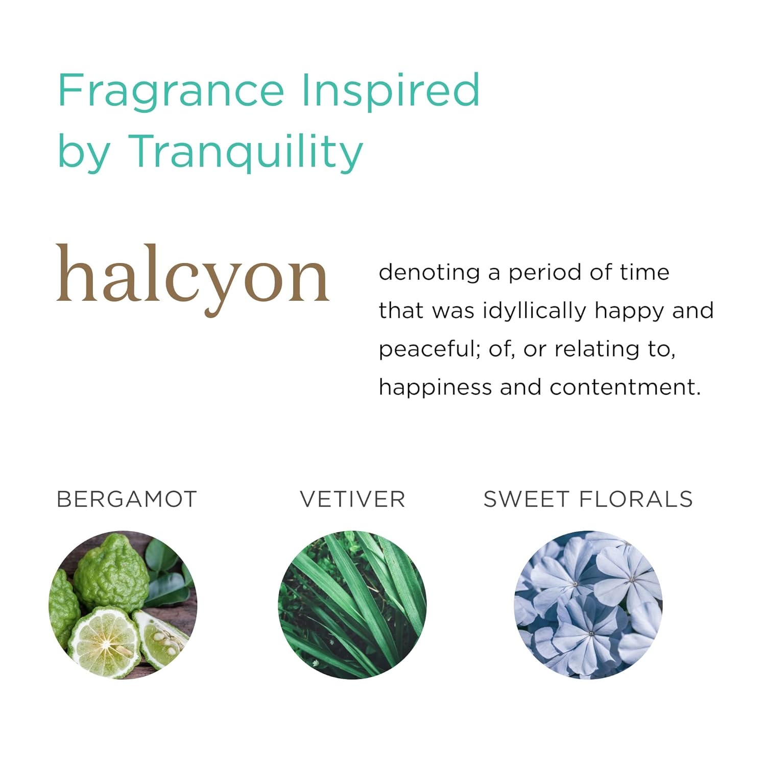 Mks Eco Wow Fortify Design Cream, Halcyon Scent - 4 Oz - Free From Silicones, Sulfate Cleansers, Parabens, Gluten, Mineral Oil & Petrolatum - Vegan, Cruelty Free : Beauty & Personal Care