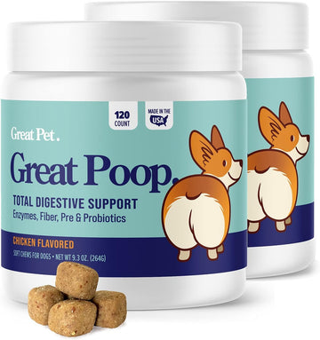 Great Poop Probiotics for Dogs (2 Pack) - A Fiber for Dogs Supplement w/Dog Probiotics and Digestive Enzymes for Healthy Gut, Firm Stool, Diarrhea Relief - 240 Chicken Flavored Soft Chews Prebiotics