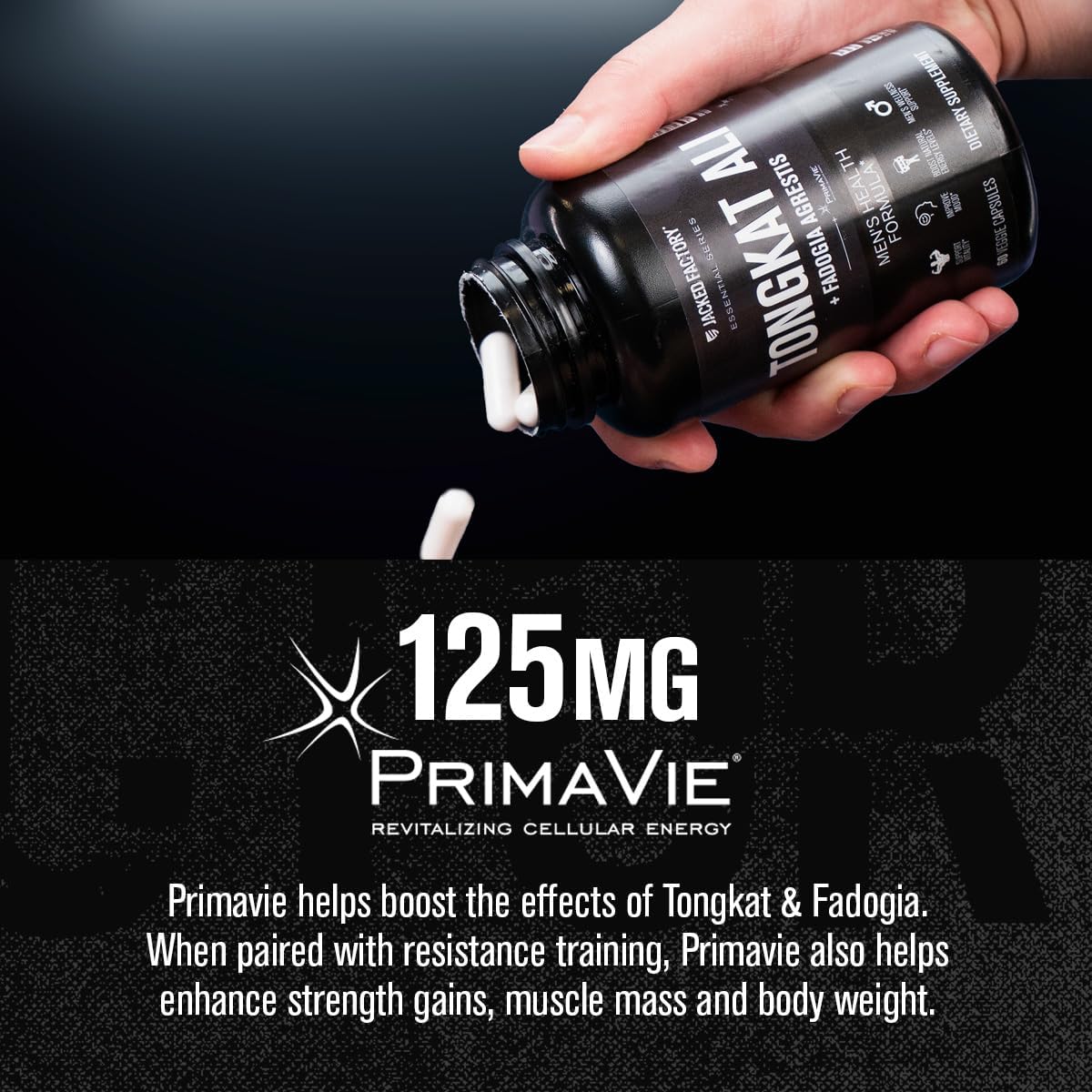 Jacked Factory PRIMASURGE Testosterone Booster for Men (60 Capsules) & Indonesian Tongkat Ali + Fadogia Agrestis - 200:1 Extract (60 Capsules) to Support Energy, Vitality & Strength : Health & Household