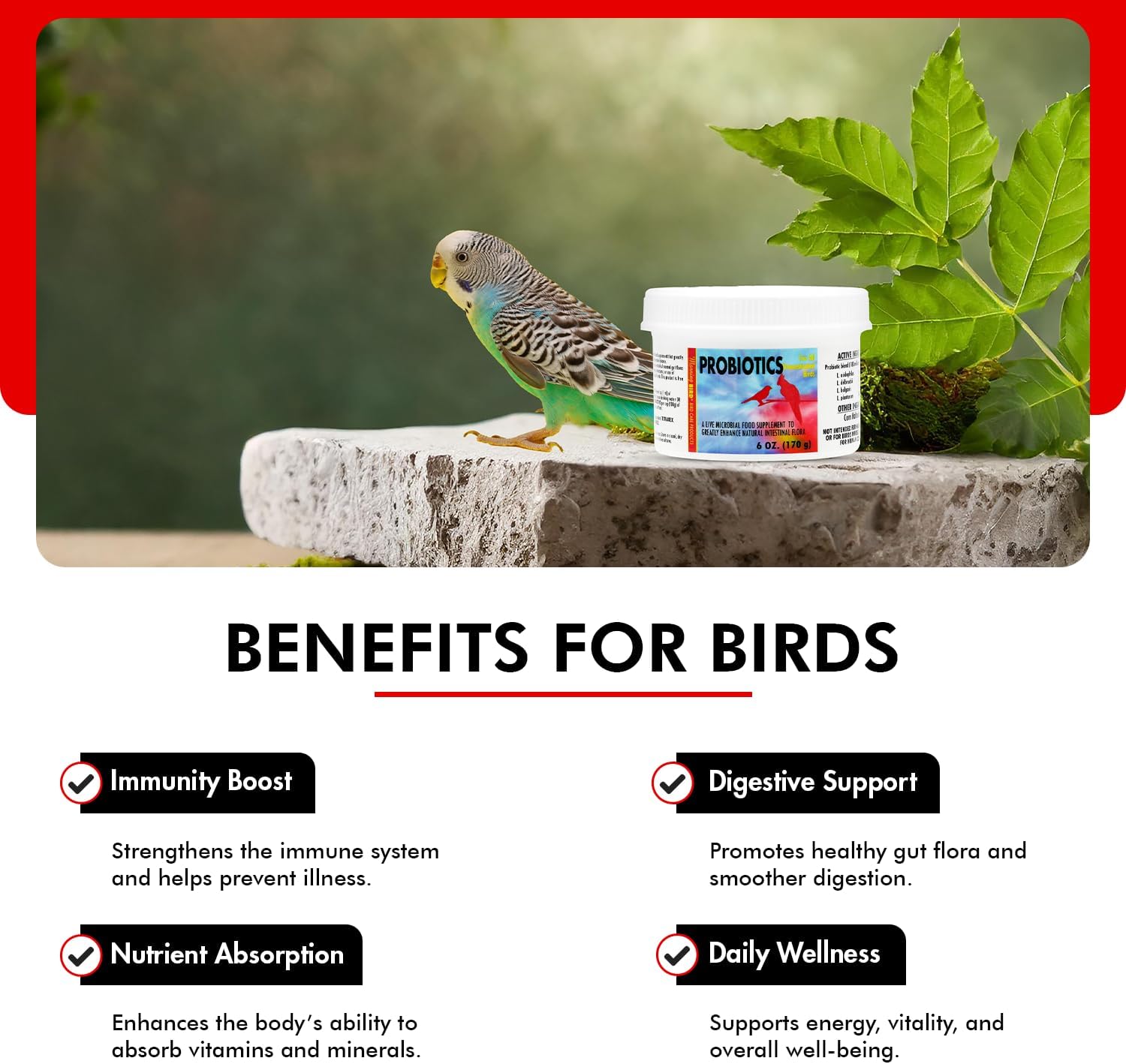 Morning Bird Probiotics For Birds 16 Oz– Digestive Health Supplement With Supports Gut Balance, Nutrient Absorption & Immune Support – Easy Mix Powder Supplement For All Bird Species : Pet Supplies