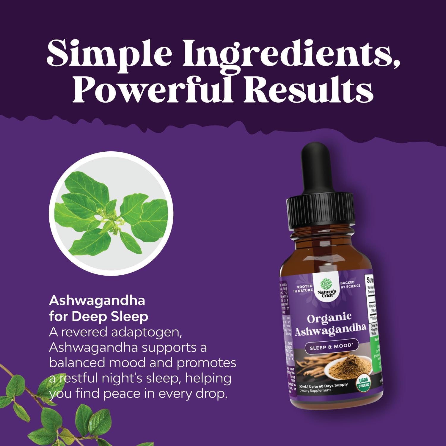 USDA Organic Ashwagandha Liquid Drops - Vegan Liquid Ashwagandha Root Extract for Energy Stress and Mood Support - Tasty Adaptogenic Pure Ashwagandha Tincture for Adults & Kids Non-GMO & Alcohol Free : Health & Household