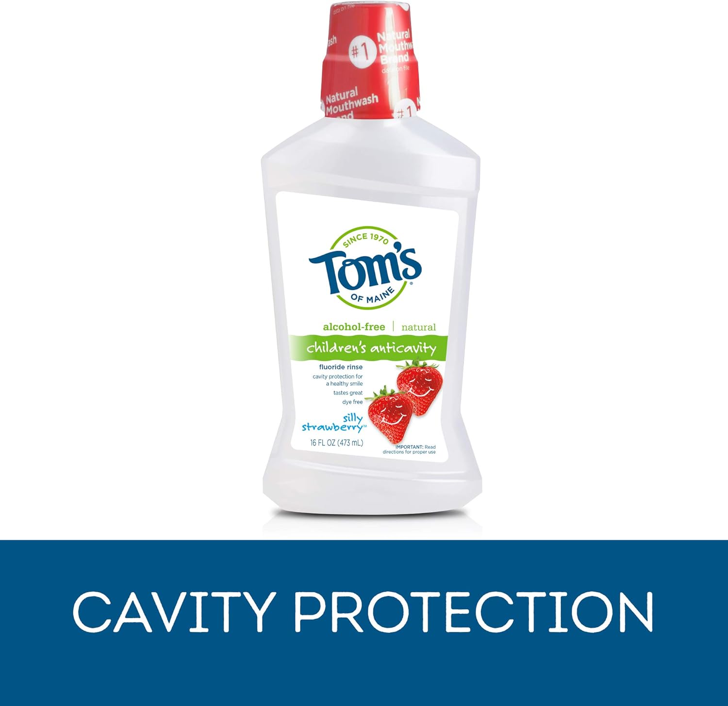 Tom's of Maine Children's Anticavity Fluoride Rinse Mouthwash, Silly Strawberry, 16 Fl Oz (Pack of 6) (Packaging May Vary) : Health & Household