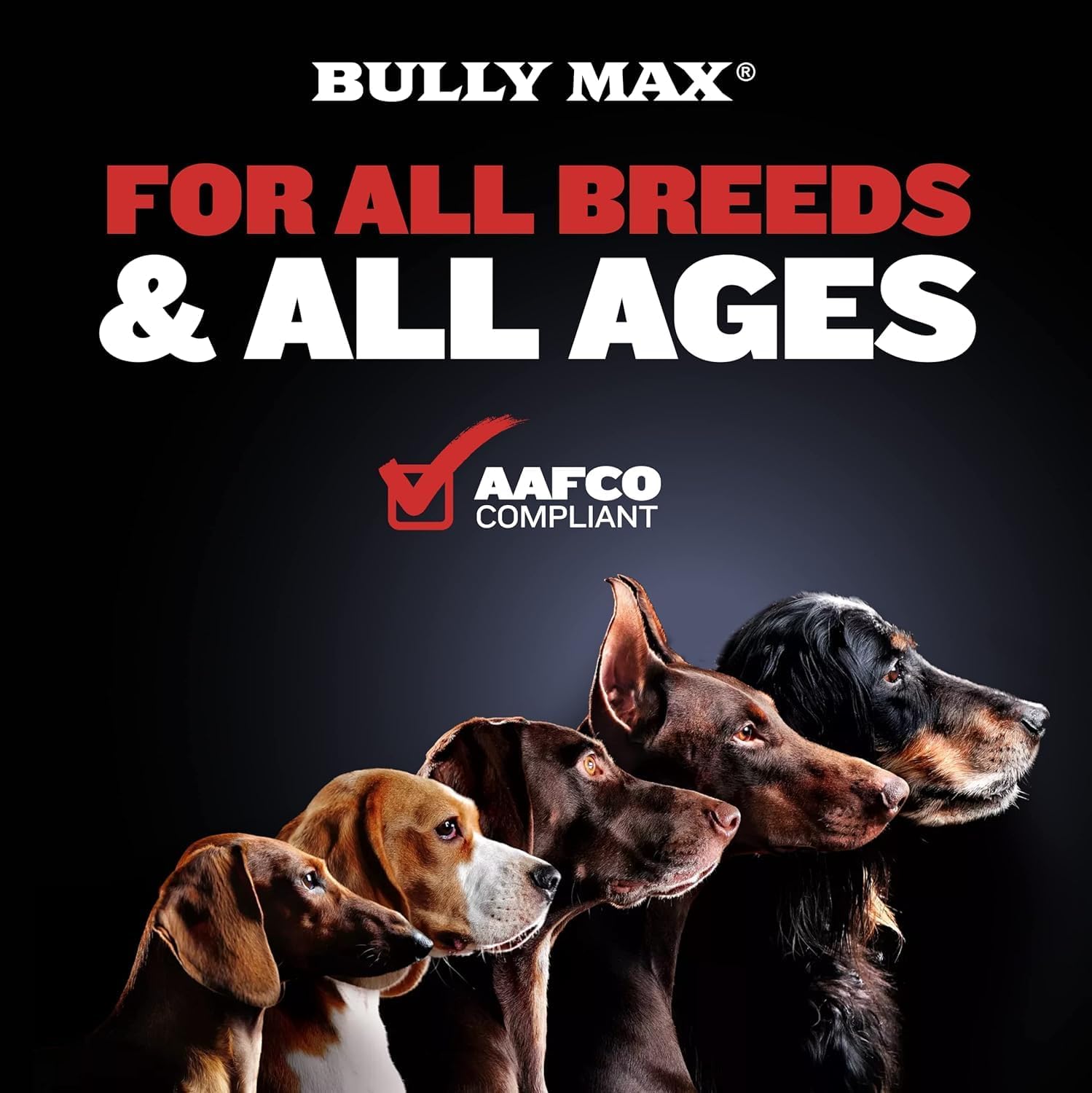 Bully Max 2-in-1 Muscle Builder Chewable Tablets (60 ct) & High Calorie Liquid Supplement Weight Gainer (16 oz.) Bundle for Puppy & Adult Dogs - Dog Supplements for Weight Gain & Muscle Growth : Pet Supplies