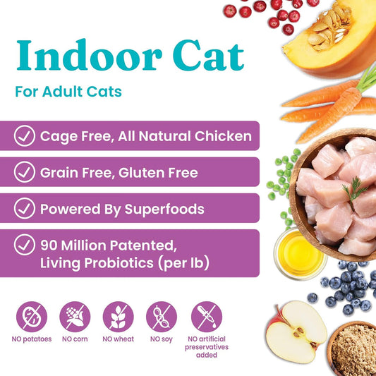 Solid Gold Indoor Dry Cat Food - Let's Stay in Cat Food Dry Kibble for Indoor Cats - Hairball & Sensitive Stomach - Grain & Gluten Free - Probiotics & Fiber for Digestive Health - Chicken - 12lb