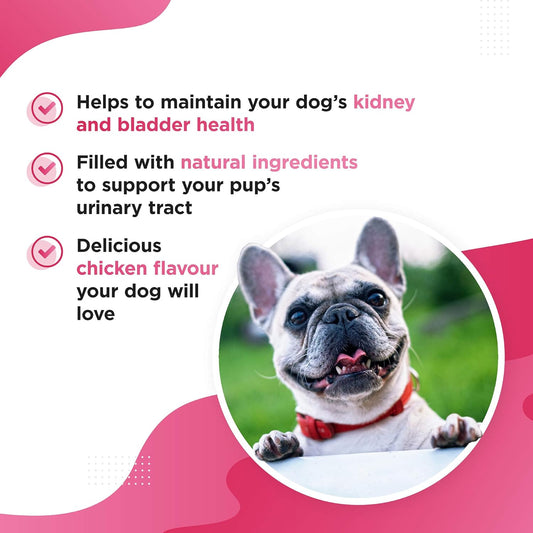 Dog's Lounge - Berri - Advanced Bladder & Kidney Support for Dogs | Supplement with Cranberry, Marshmallow Root, D-Mannose, Liquorice, Astragalus Root, Nettle Seed | UK Made | 120 Tablets