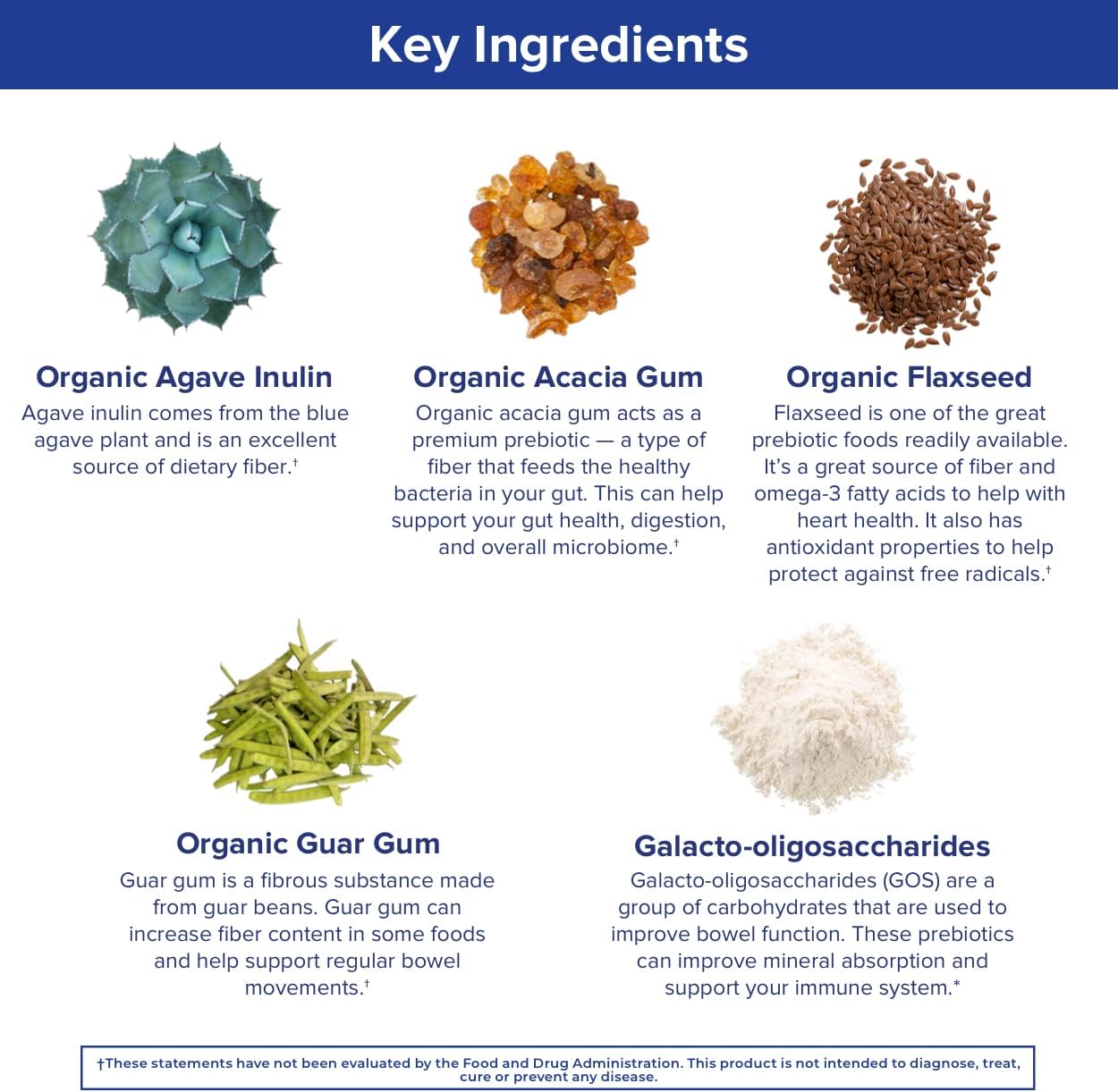 Gundry MD® PrebioThrive™ Prebiotic Supplement for More Comfortable Digestion, Gut Health and a More Balanced MicroBiome, Unflavored Powder - (30 Servings) : Health & Household