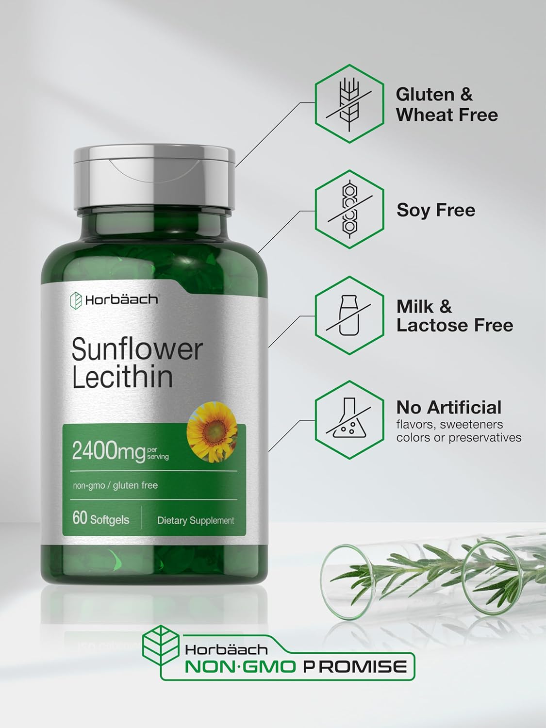 Horbäach Sunflower Lecithin 2400mg | 60 Softgel Capsules | Naturally Occurring Phospholipids | Non-GMO, Gluten Free Supplement | : Health & Household