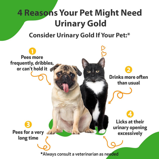 Pet Wellbeing Urinary Gold For Dogs & Cats - Vet-Formulated - Urinary Tract Health, Supports Normal Urinary Ph - Natural Herbal Supplement 4 Oz (118 Ml)