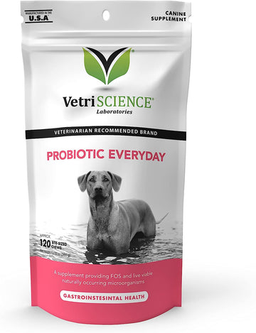 VetriScience Probiotic Everyday for Dogs Duck Flavor 120 Chews - Itchy Skin Gut Health and Gas Relief with Prebiotics
