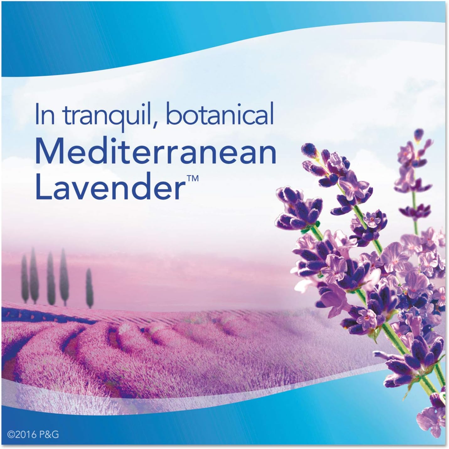 Febreze 96264 AIR, Mediterranean Lavender, 8.8 oz Aerosol, 6/Carton : Health & Household